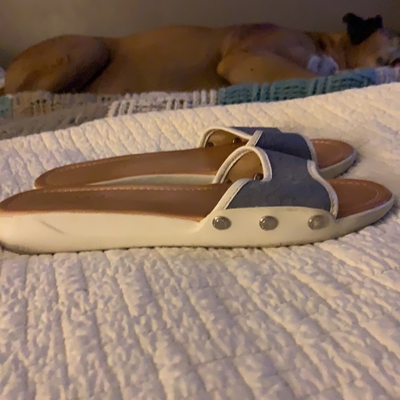 Genuine Coach Slides - Picture 6 of 6